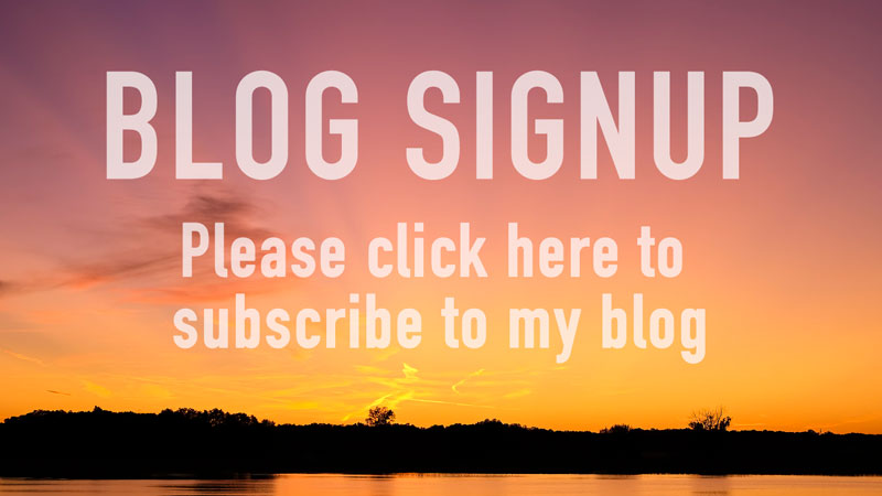 blog signup